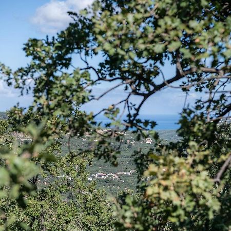 Velanis Ηouse, Style Into Nature - Secluded Kissamos Exterior photo