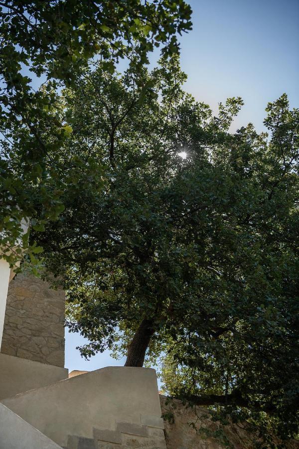 Velanis Ηouse, Style Into Nature - Secluded Kissamos Exterior photo